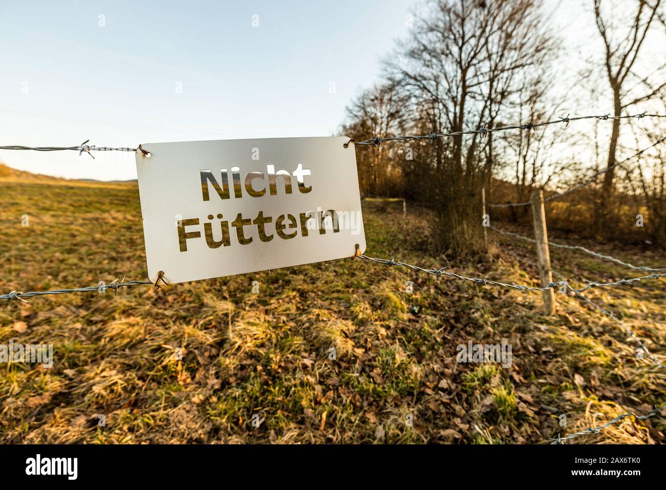'Do not feed' sign written in german (nicht füttern) hanging on a barbwire at a fields for horses and donkeys. Stock Photo