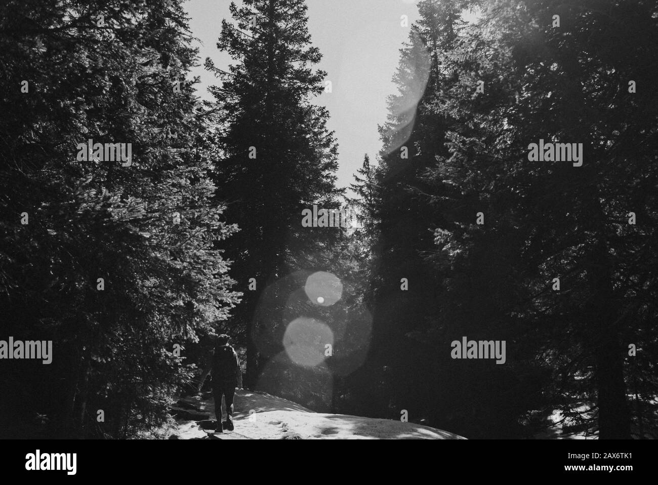 Hiking hiker Black and White Stock Photos & Images - Alamy