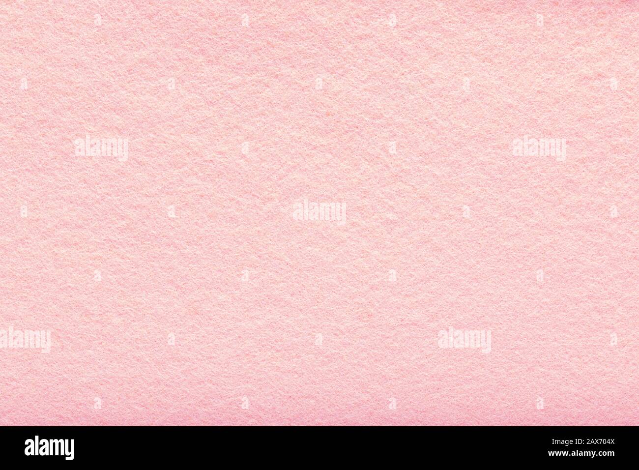Velvet Texture of Seamless Pink Woolen Felt. Light Pink Matte