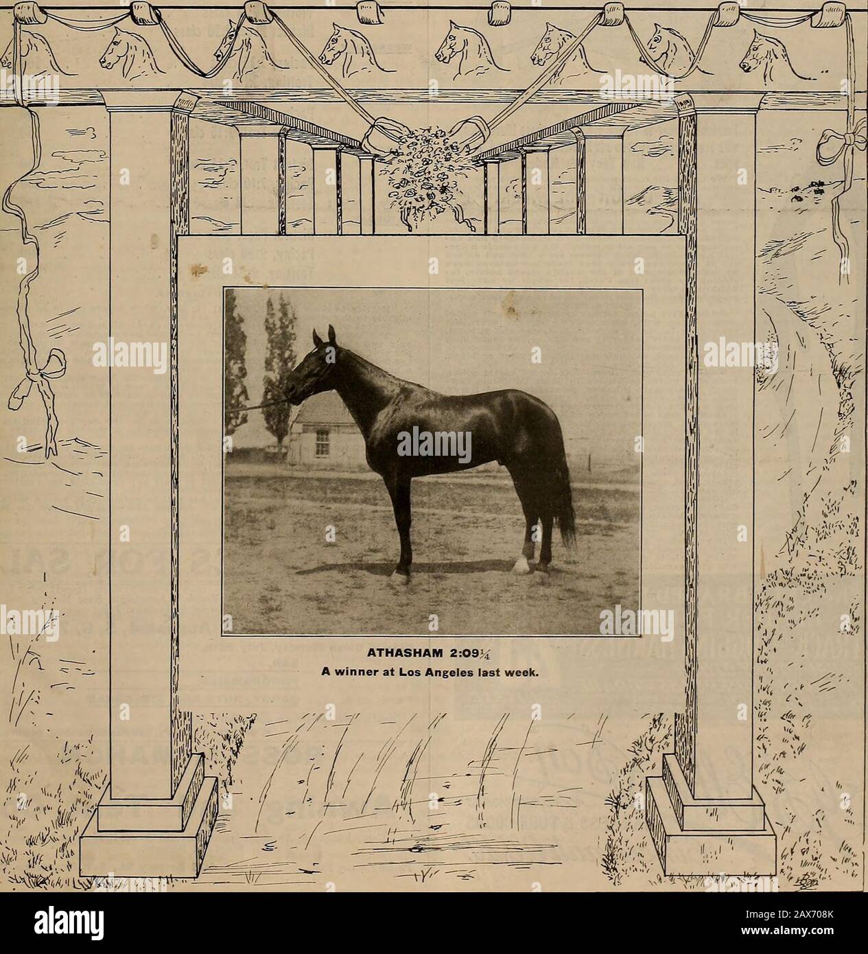 Breeder And Sportsman The Breeder And Sportsman Saturday July 24 1909 Order Direct Of 0s And Save The Middlemans Profit Jfieeelebrated Ellis I Helm The Recognized Standard Track Harness Of The