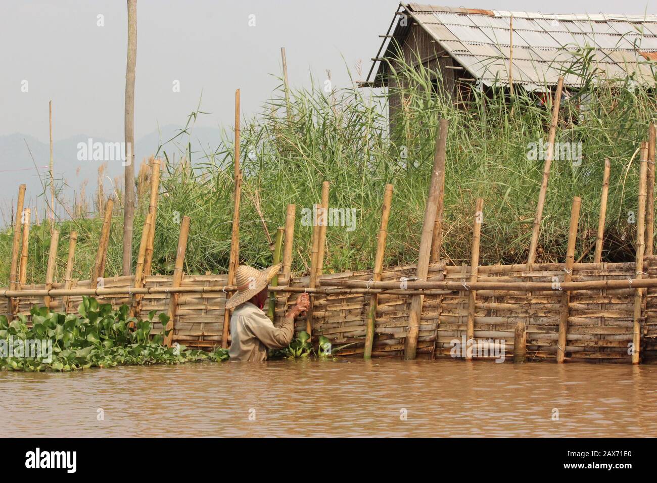 A man is fixing bamboo fence at Inle Lake Stock Photo