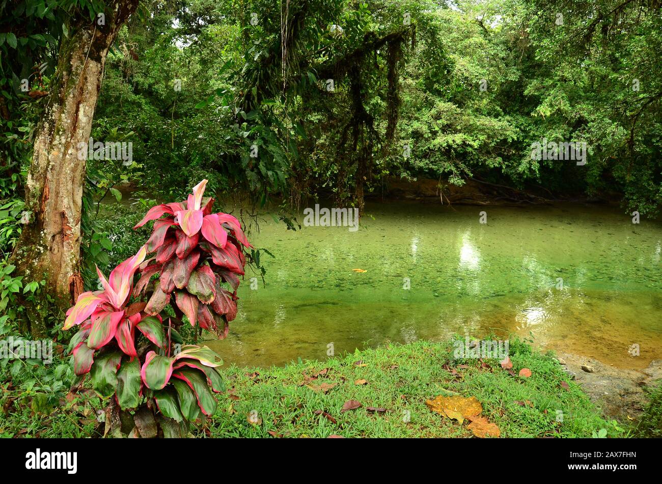 S cipriano hi-res stock photography and images - Alamy