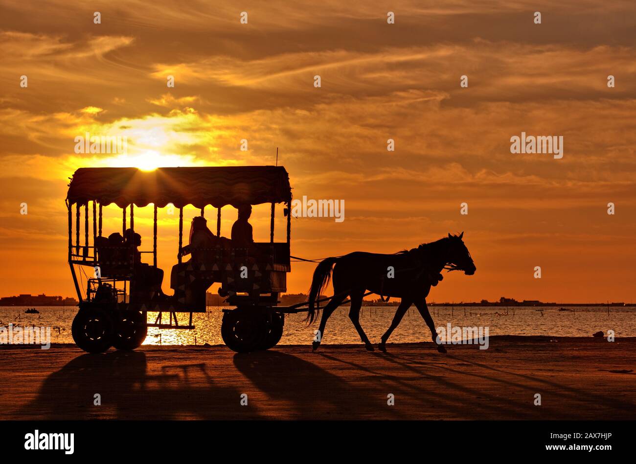 Silhouette of horse cart during sunset at Aziziah Beach near Al Khobar, Saudi Arabia. Stock Photo