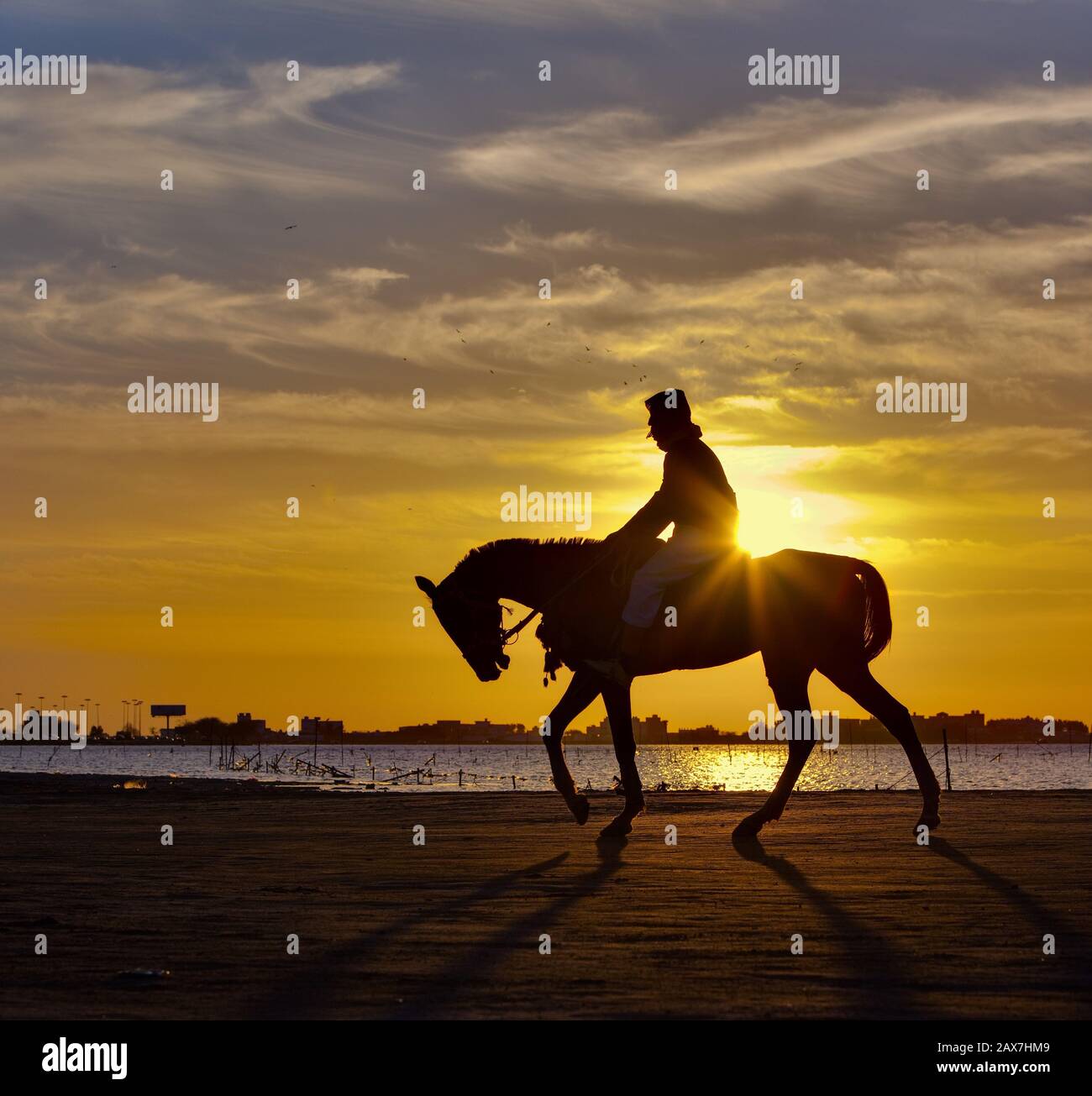 Silhouette of man riding a horse at sunset in Aziziah Beach near Al Khobar, Saudi Arabia Stock Photo