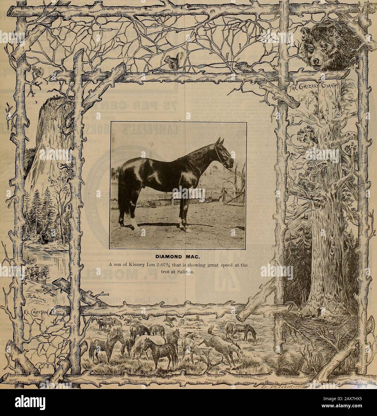 Breeder and sportsman . VOLUME LV. No. 2. SAN FRANCISCO, SATURDAY, JULY 10, 1909. Subscription—$3.00 Per Year.. THE BREEDER AND SPORTSMAN [Saturday, July 10, 1909. Order Direct of Us and Save the Middlemans Profit Jfie CELEBRATED ELLIS I &lt;-***** GJZAJVDCIRCUIT^ COMPLETE SEIMHE THE RECOGNIZED STANDARD TRACKHARNESS OF THE WORLD. ?• - Superior to Any Otner MalCe - ^Mn A Class 3y Itself ^^ FVZLr£QlfAL TO r#ACJC HARNESS SOLD Br OrffER MANOFACri/&ERS ATST/)ros/?Z f&Z&rtf/rEEO W EVERY RESPECT. YOJP N02/EYFEFCY/SBED ,Jf/ fi.M AW r/S MIL PAYEXPRESS CHARGES BOTHfiX/J/FIIQTSWSFiaF v ****• Stock Photo