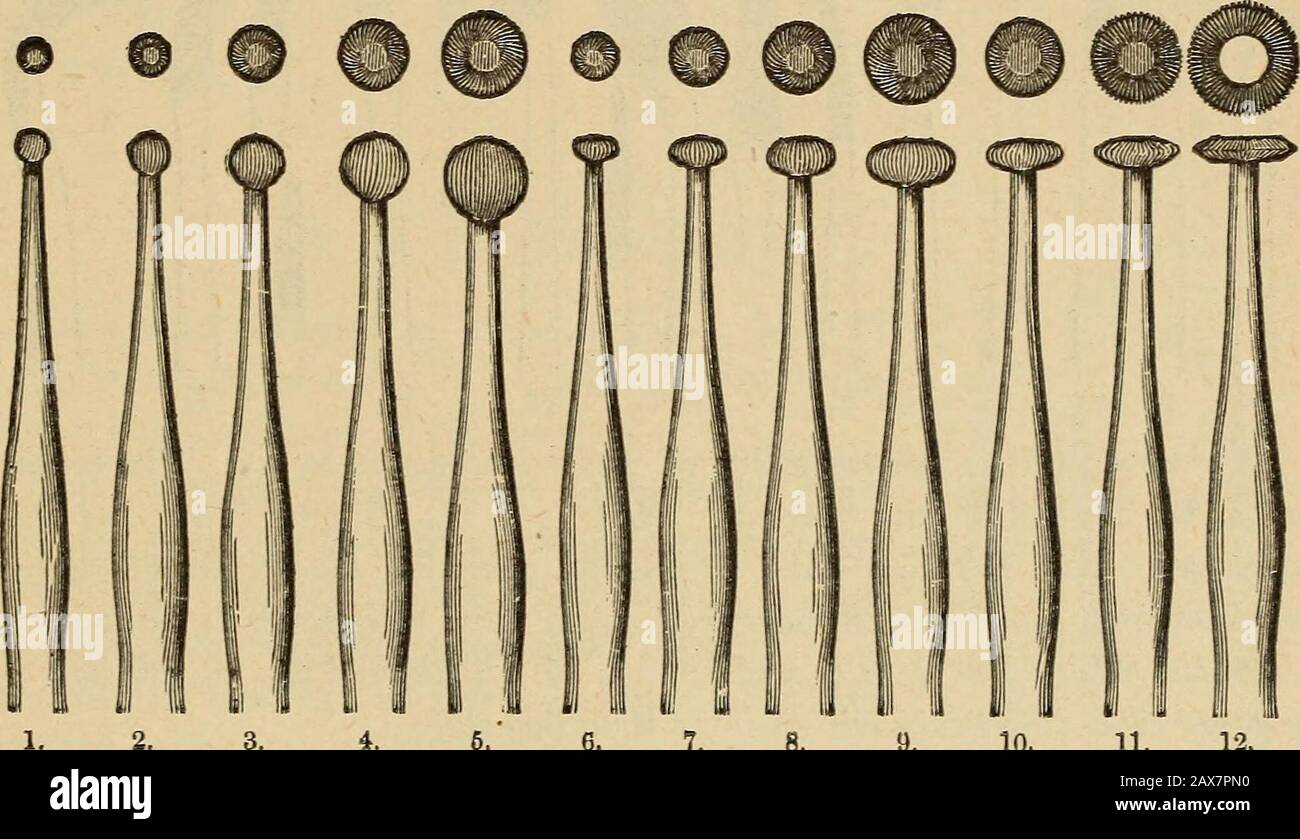 Catalogue of dental materials, furniture, instruments, etc., for sale . DR.  0. R. BUTLERS PLUG-FINISHING BURS. The accompanying Cuts exhibit a set of 3  Plug-FinishingBurs which Dr. Butler designed and uses. Their