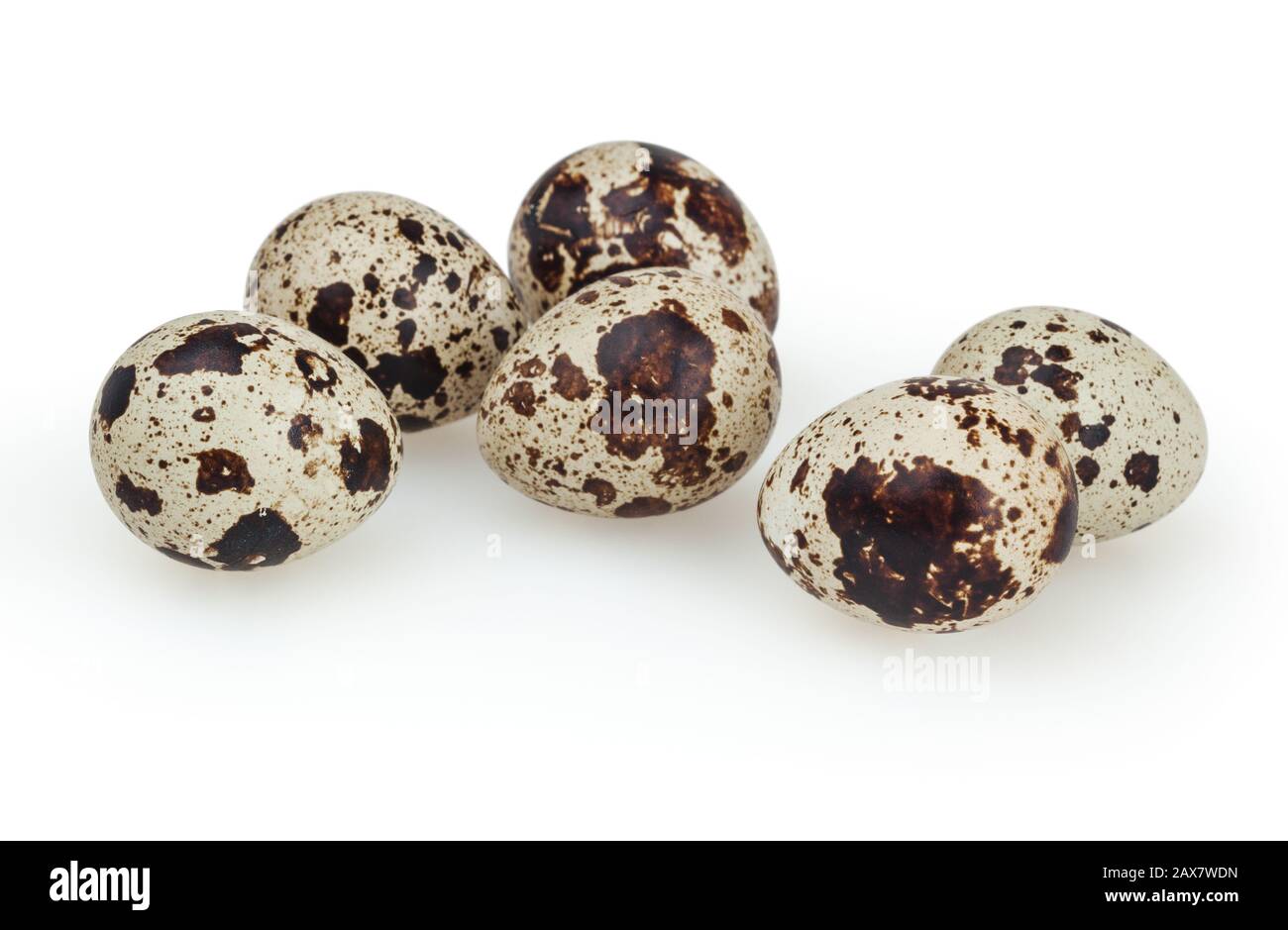 Quail eggs isolated on white background with clipping path Stock Photo