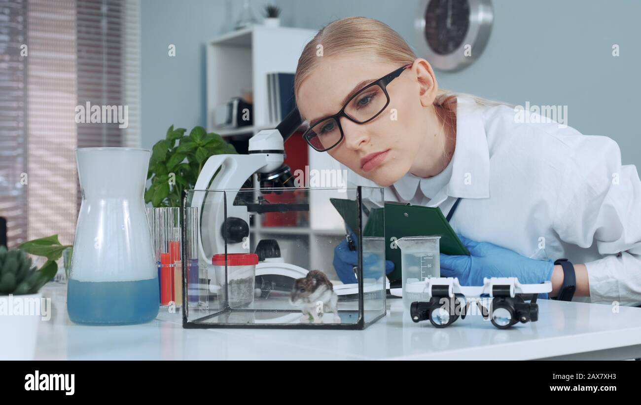 Female research scientist learning animal behavior during the ...