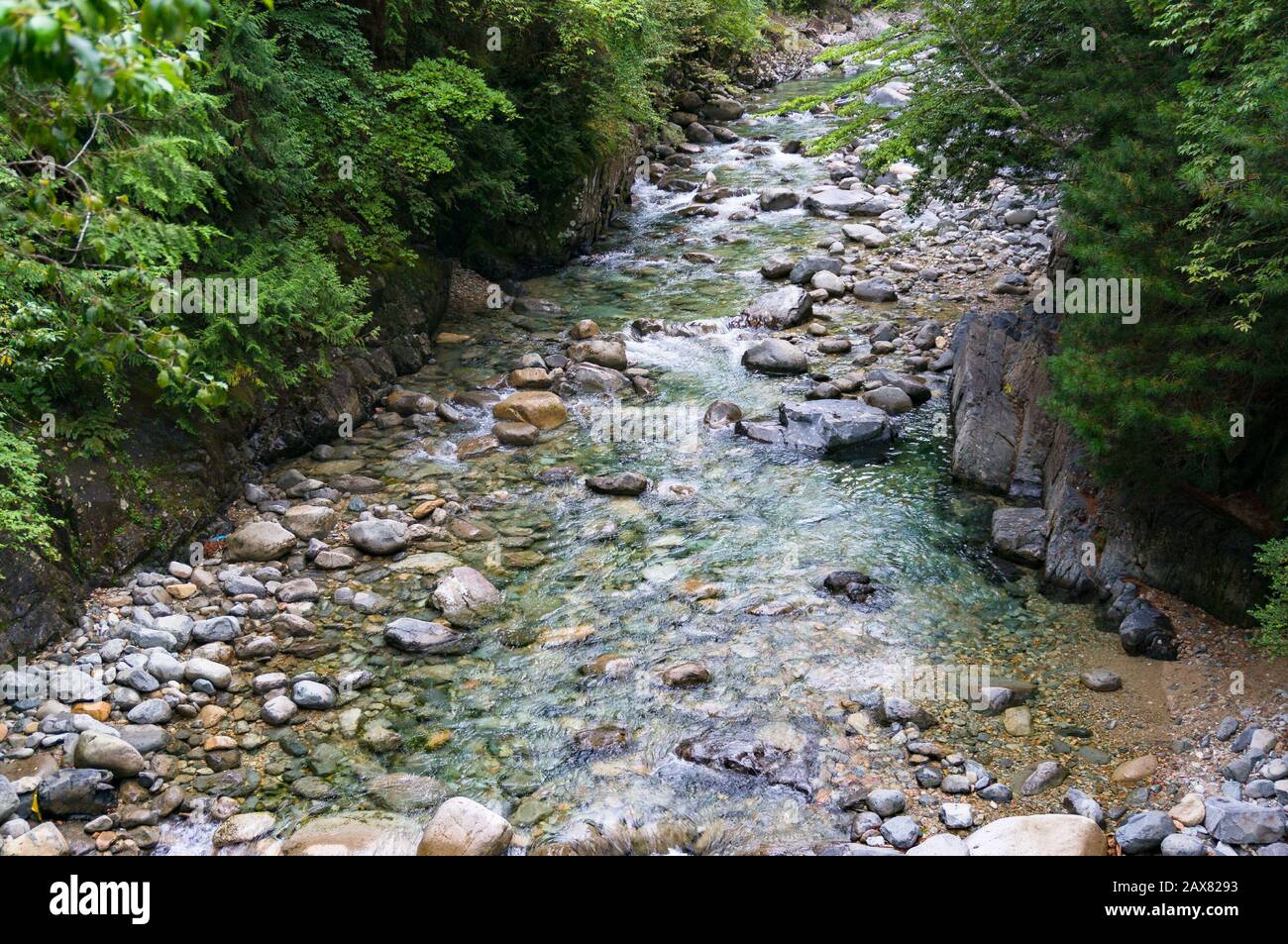 Forest landscape with rapid shallow stream with crystal clear waters. Japanese nature background. Ookuwa, Nagano prefecture, Japan Stock Photo