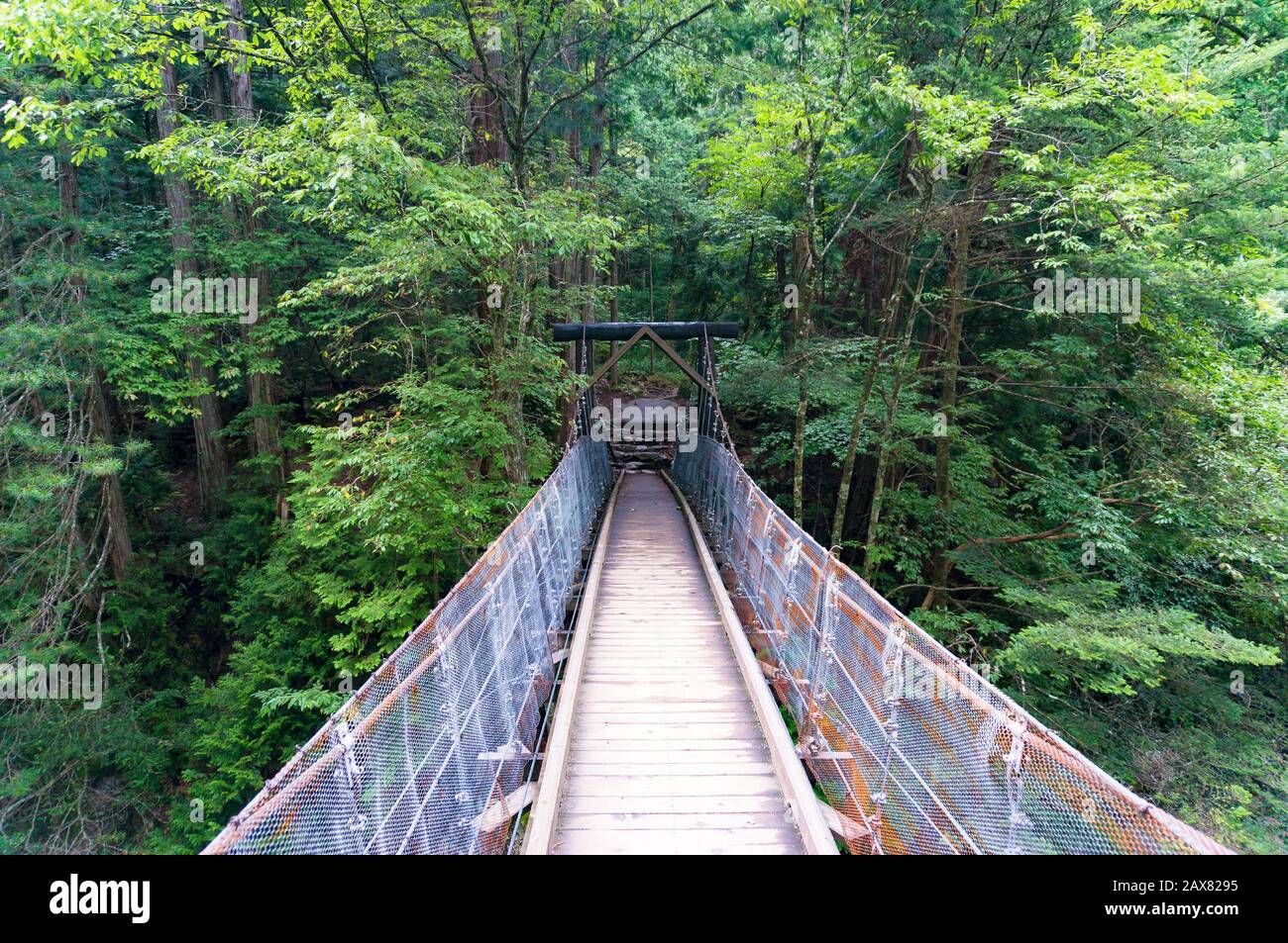 Wooden suspension bridge in the forest. Hiking near Ookuwa, Nagano prefecture, Japan Stock Photo