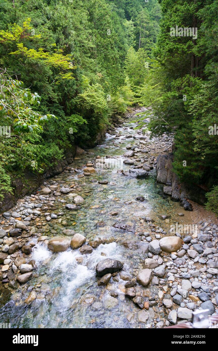 Forest landscape with rapid shallow stream with crystal clear waters. Japanese nature background. Ookuwa, Nagano prefecture, Japan Stock Photo