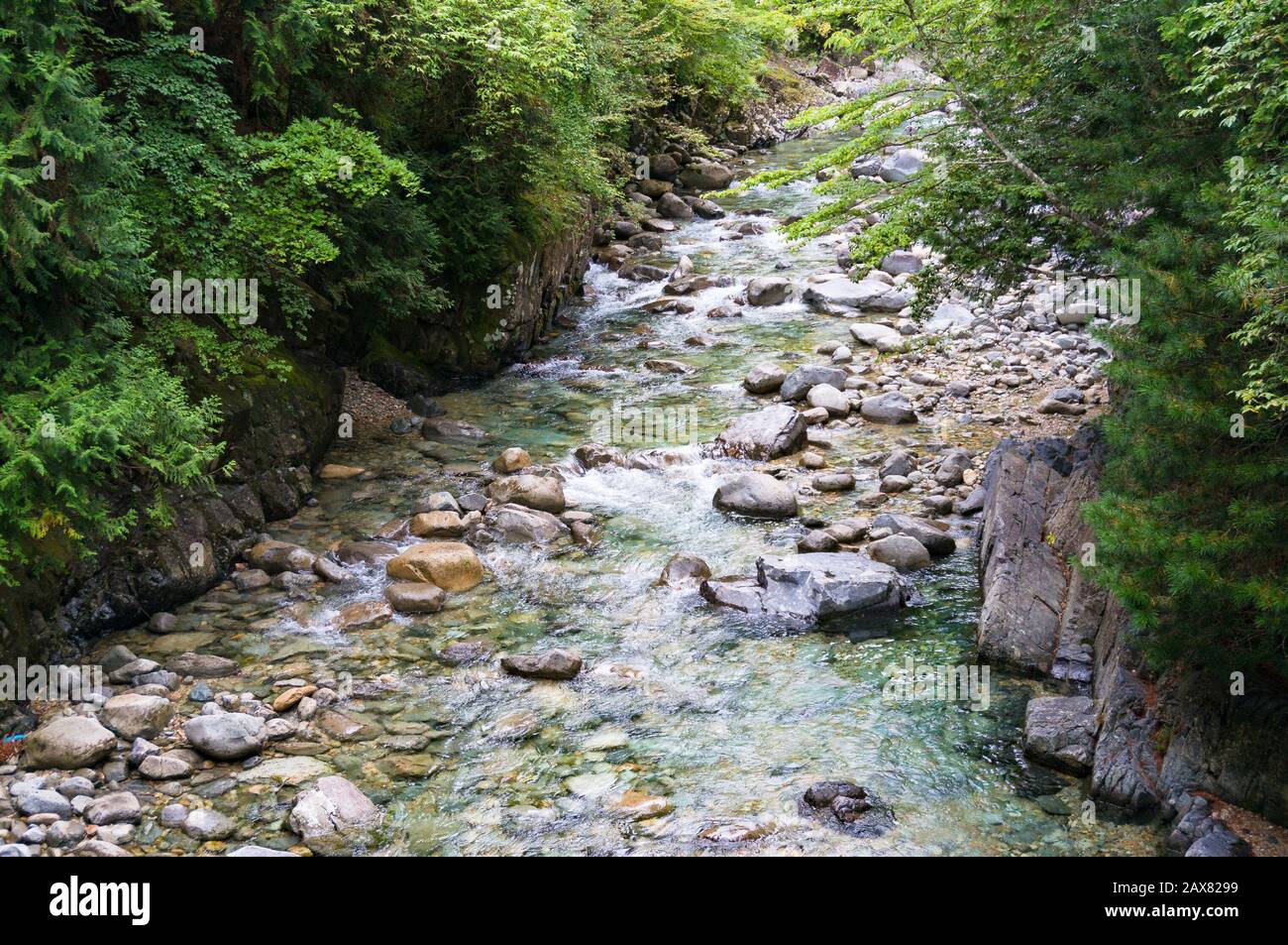 Beautiful landscape of shallow crystal clear river flowing over rocks and green trees in forest Stock Photo