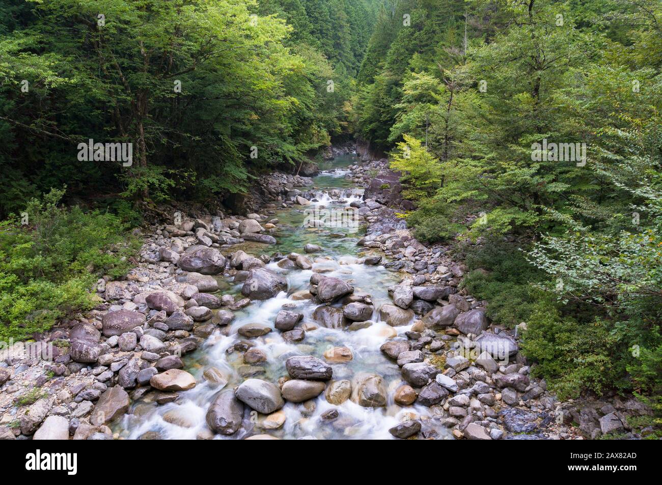 View from clear creeks 澄んだ小川の景色 First unveiling of gallery site] 
