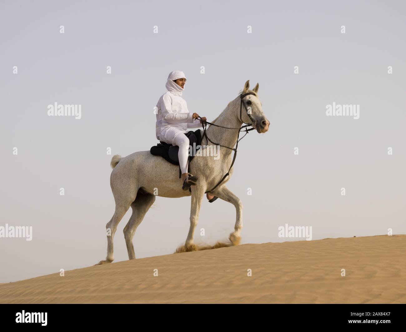 Best Places To Try Horse Riding In The Uae Time Out S vrogue.co