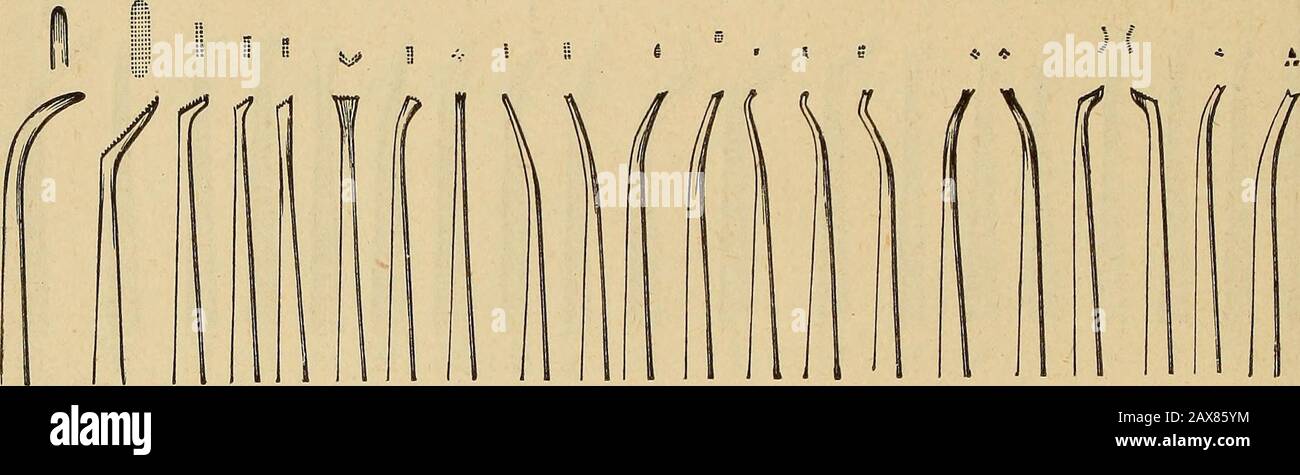 Catalogue Of Dental Materials Furniture Instruments Etc For Sale Price Except No 1no 1 Per Doz 4 50 Each 50 Selection No 3 2 3 4 5 6 7 J I I 1 9 10 11 12 13 14 15 16 17 18 19 21 Cork Screw Stock