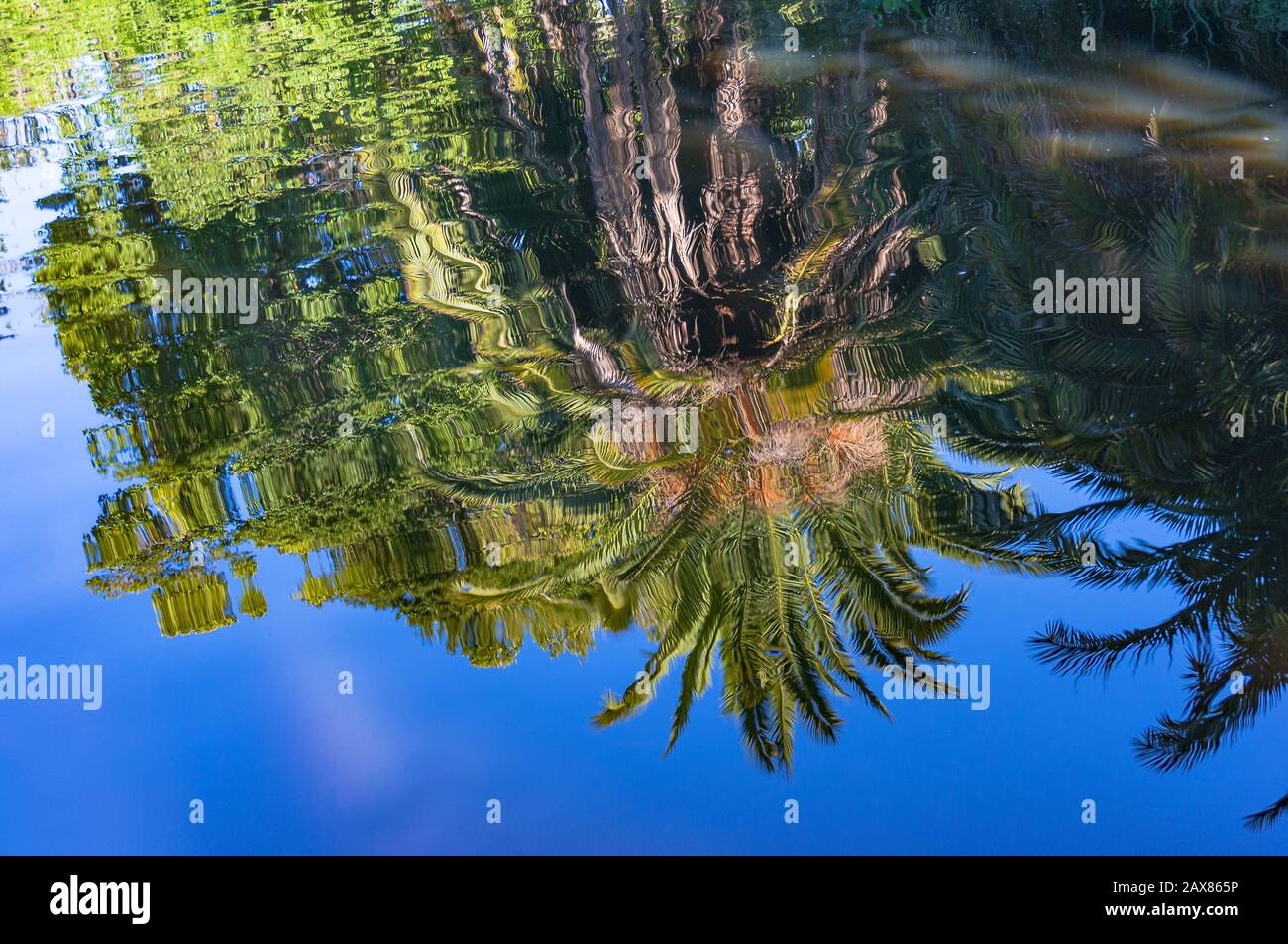 Blue sky reflected in pond hi-res stock photography and images - Alamy