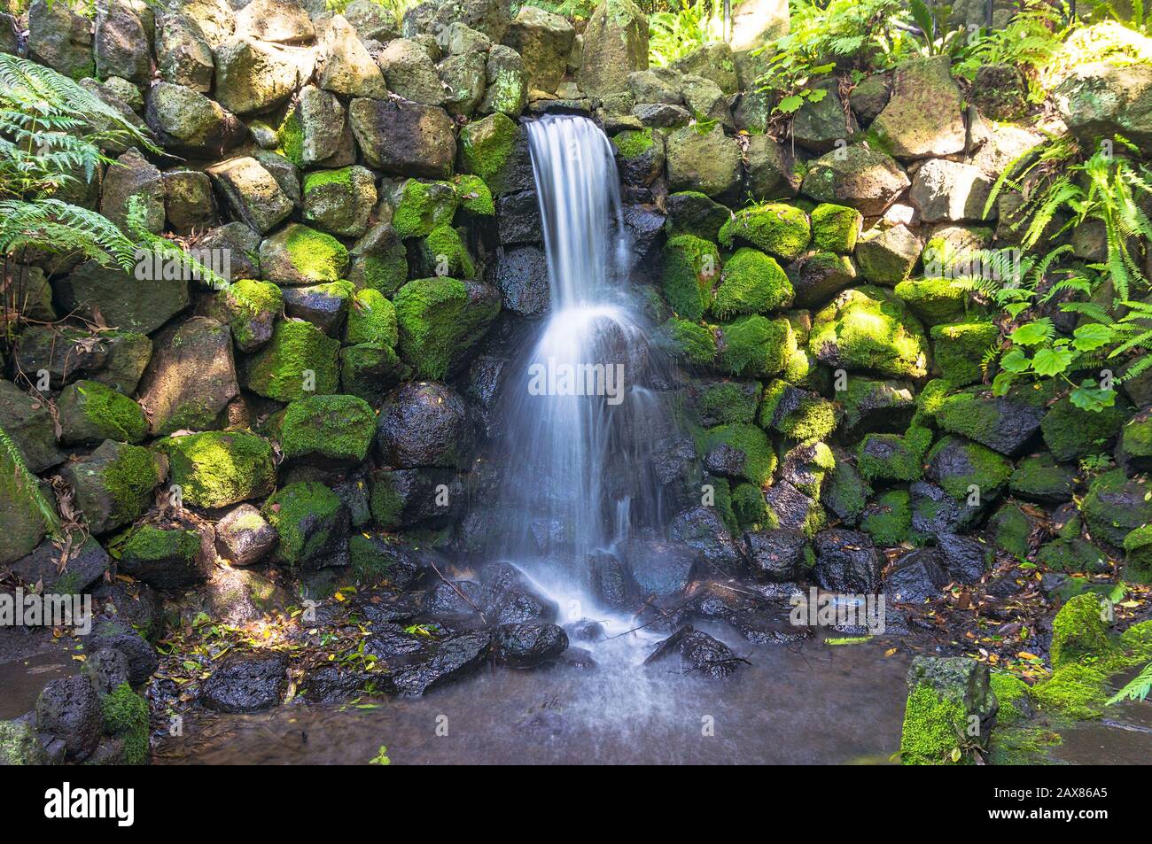 Moss Rock Waterfalls