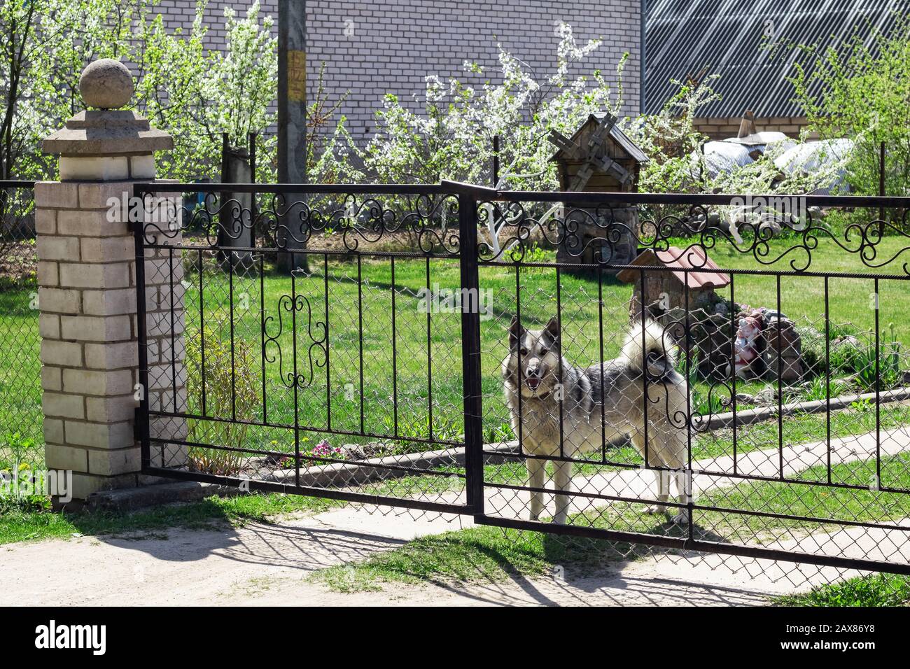 dog fencing for gardens