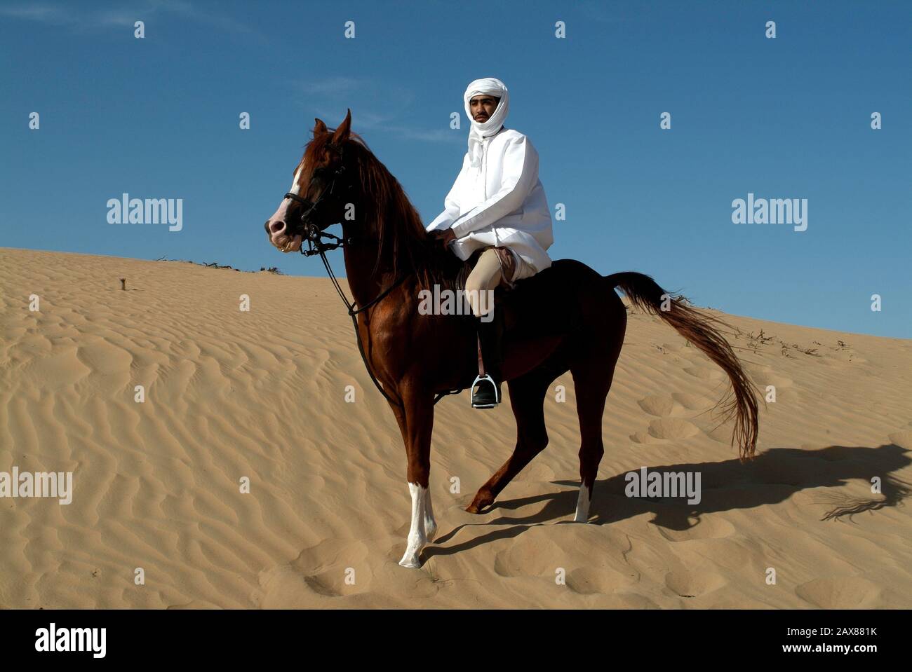 Arab man horse riding hires stock photography and images Alamy