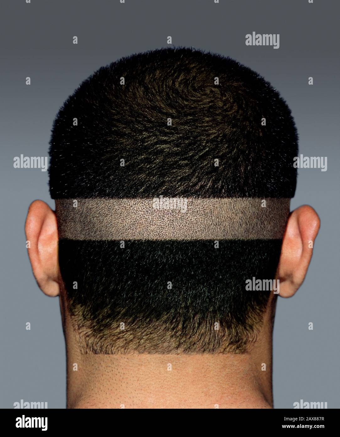 Man hair back of head hi-res stock photography and images - Alamy