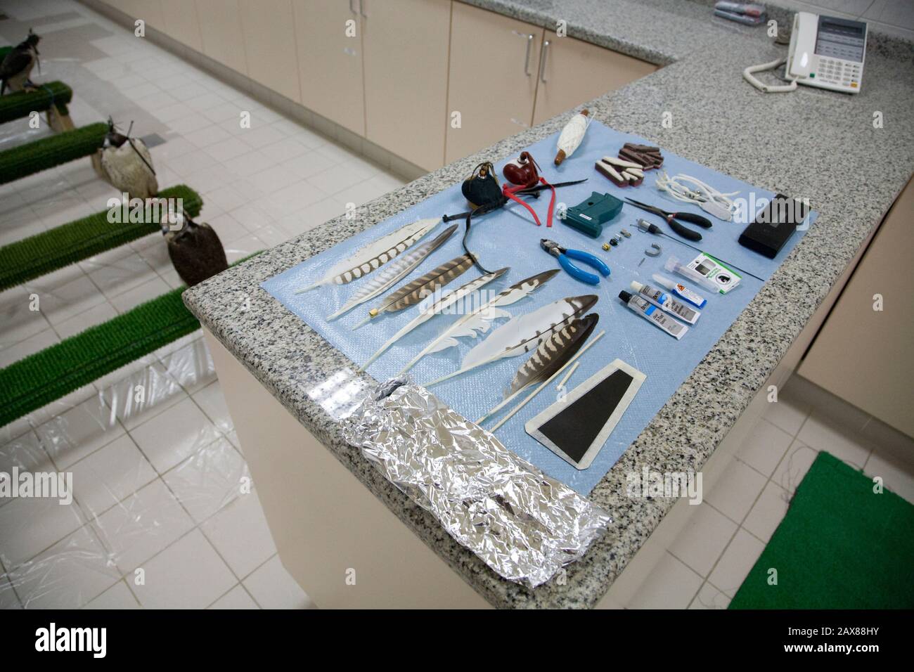 Some tools of the trade Abu Dhabi Falcon Hospital, Abu Dhabi, UAE Stock