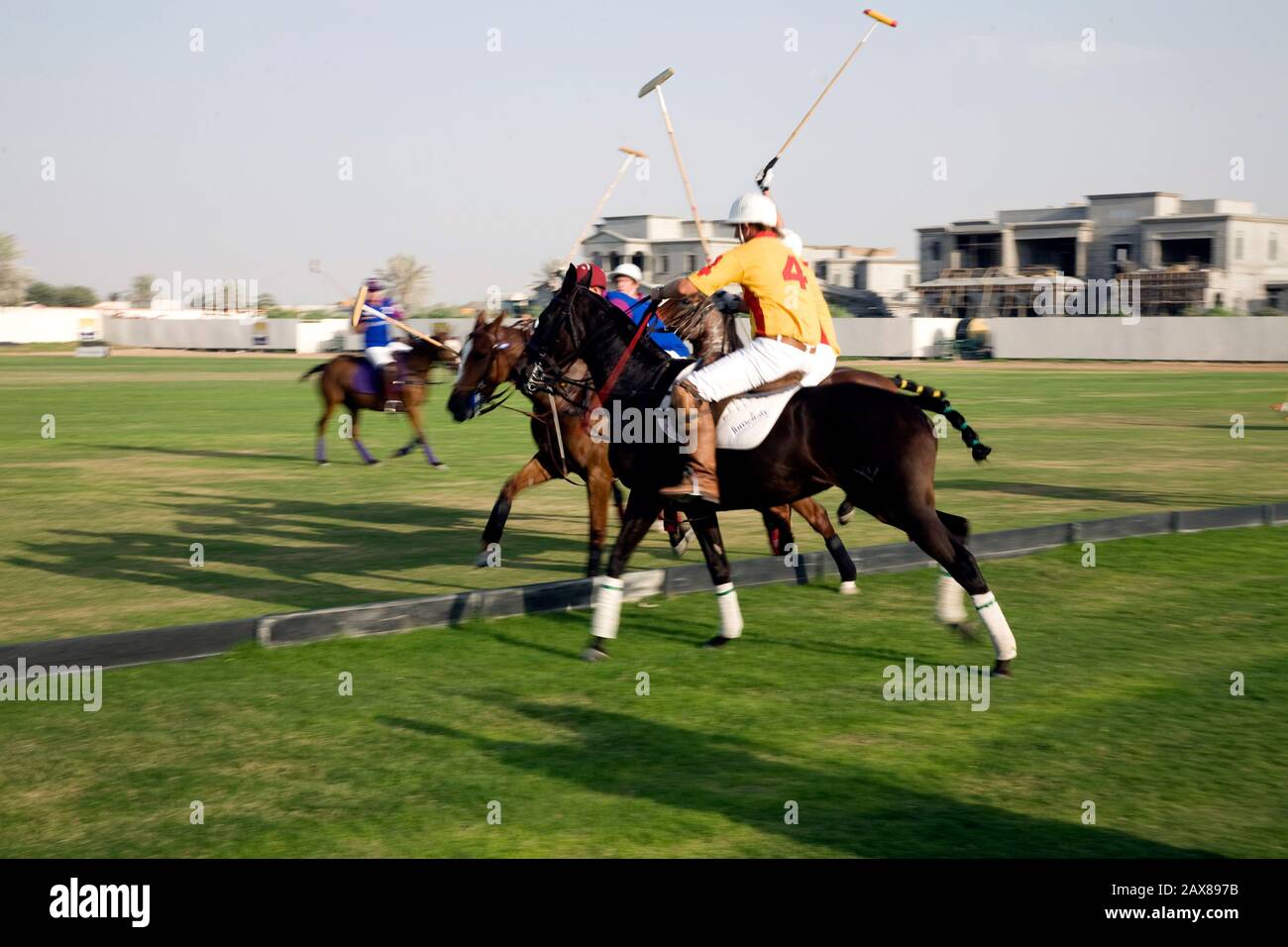 Polo dubai top