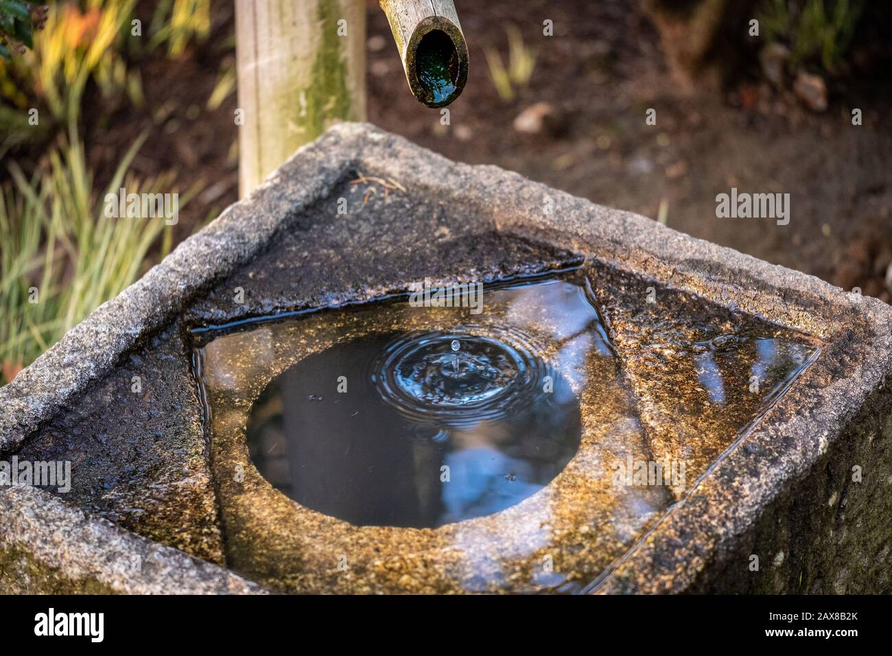 The dripping water basin in the Japanese Garden at Kew Gardens in Richmond, UK Stock Photo