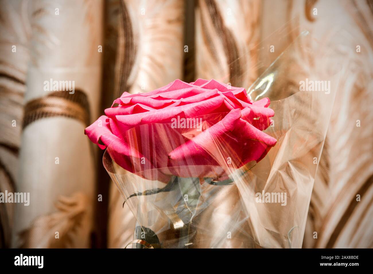 Rose Wrappée Wrapper leaf hi-res stock photography and images - Alamy