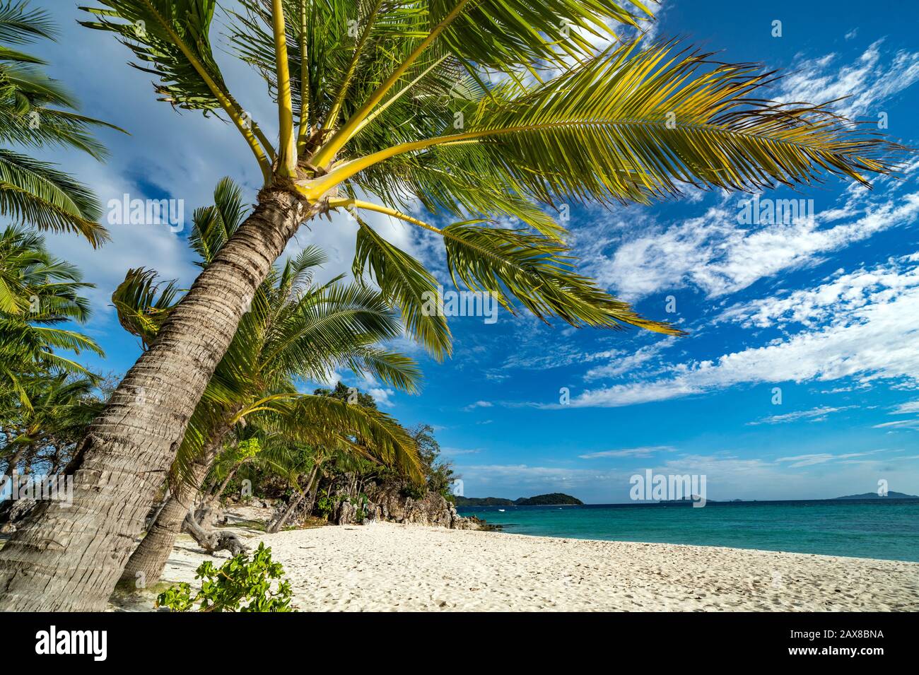 Banana Island in Coron, Philippines Stock Photo