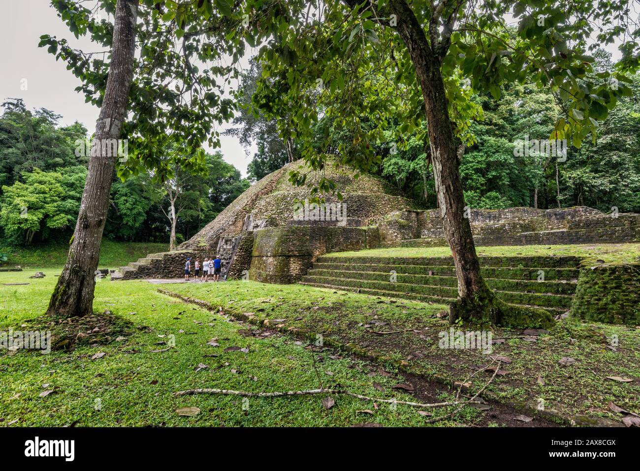 Altar 21 pyramid at Plaza B, rainforest, at Caracol, Mayan ruins ...