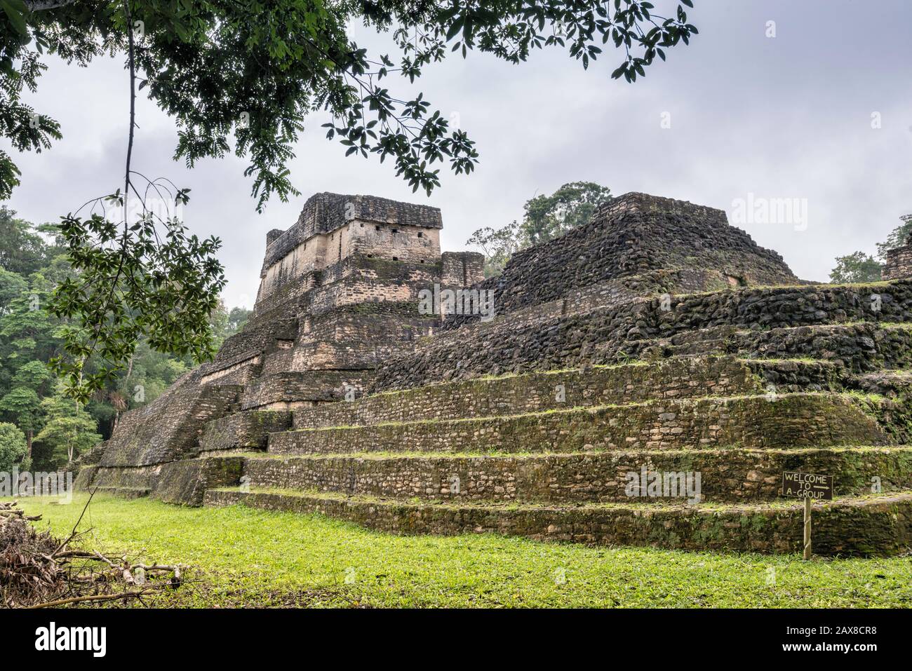 Structure A-2 pyramid at Plaza A, rainforest, at Caracol, Mayan ruins, Chiquibul Plateau, Cayo District, Belize, Central America Stock Photo