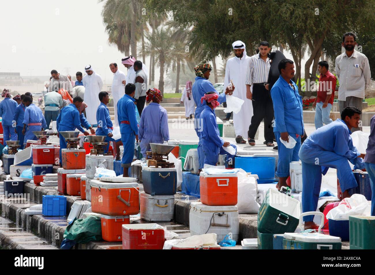 A fish market in Doha Qatar Stock Photo Alamy