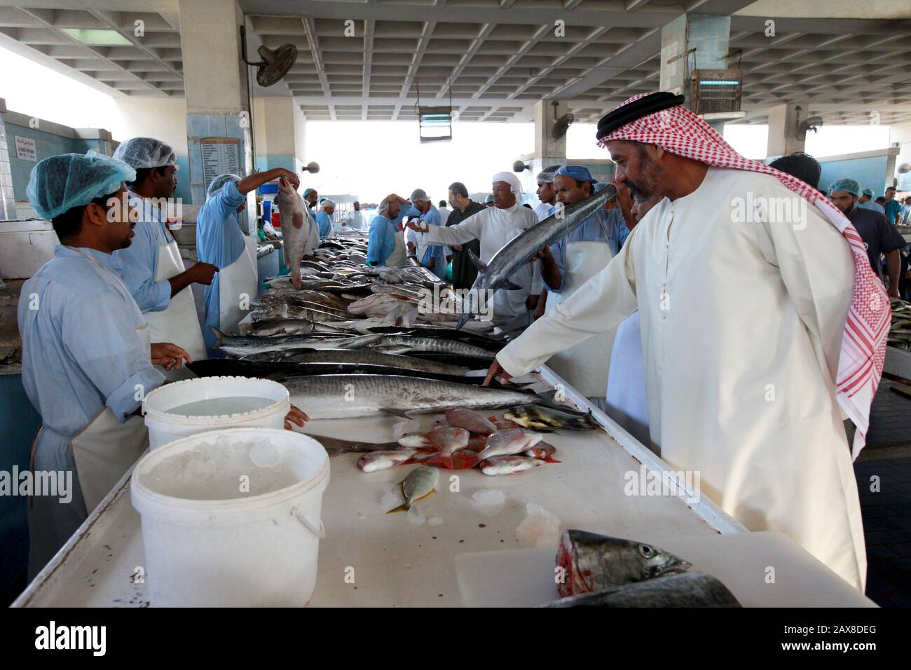 The Fujairah fish market. UAE Stock Photo Alamy