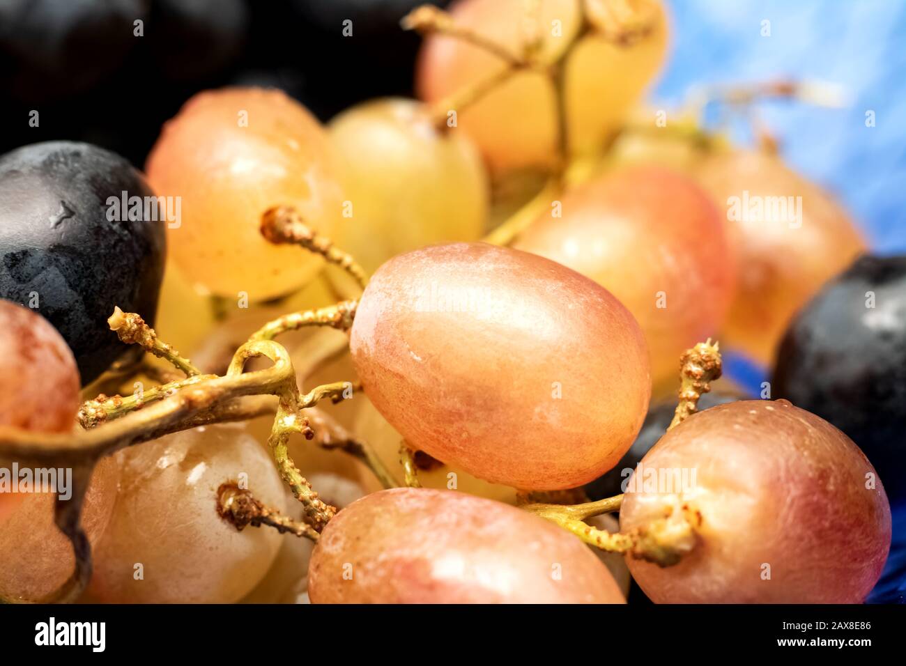 Yellow grape berries with water drops close up Stock Photo Alamy