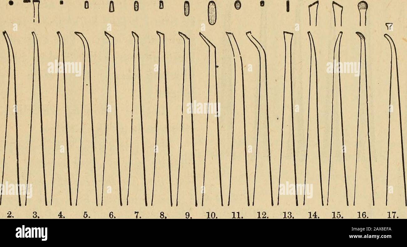 Every octagon hi-res stock photography and images - Alamy