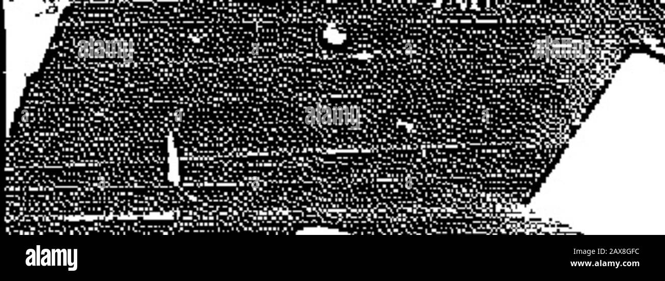 The War Cry Stock Photo Alamy