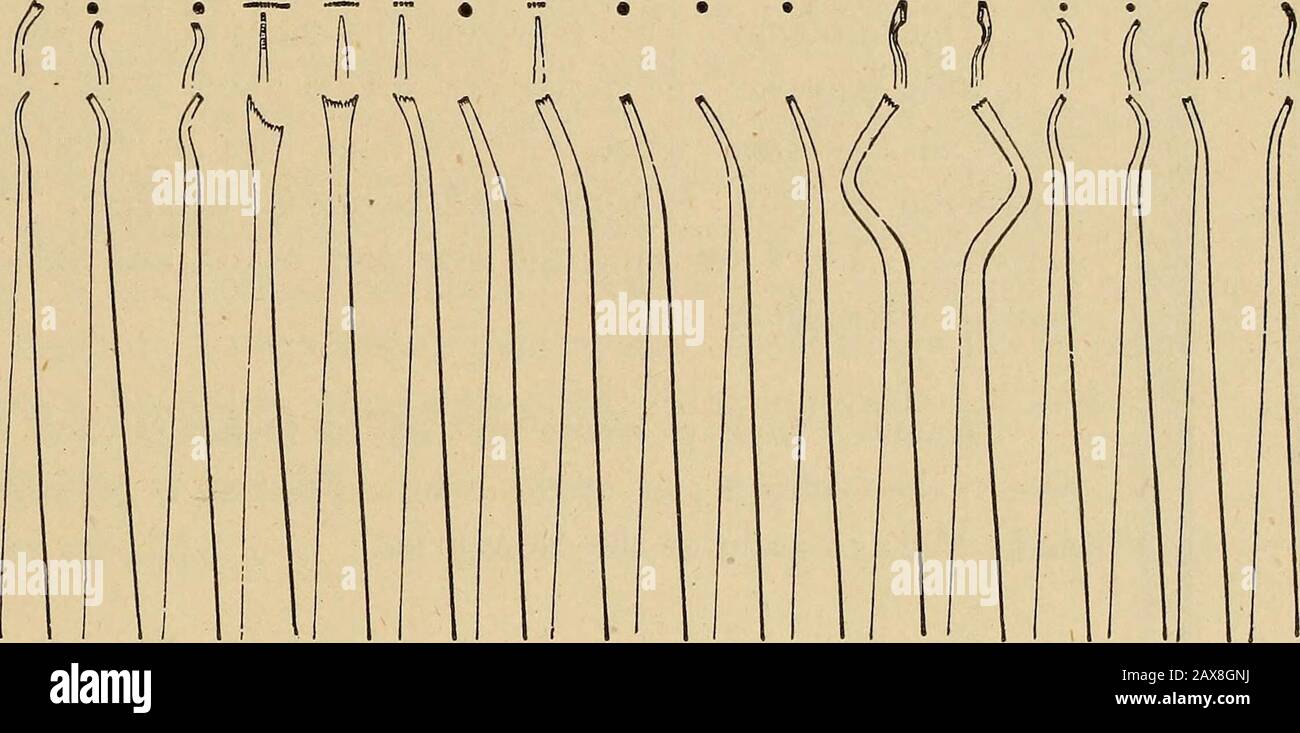 新品】OJO+LINE SURFBOARD CASE 7'0 Rocha Surf Shop - Surfboard Bags