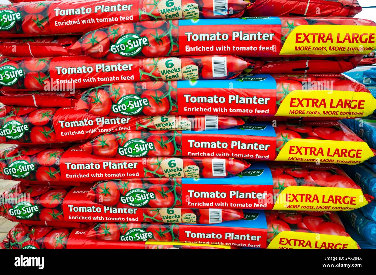 A stack of  large Gro Sure Tomato Planter Packs in a garden centre used for growing tomato plants Stock Photo
