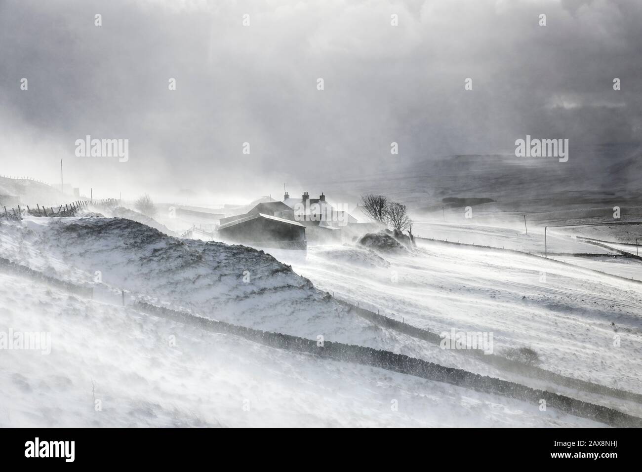 Teesdale, County Durham, UK.  11th February 2020. UK Weather.  With a yellow weather warning in force for snow, heavy snow showers and strong winds are creating blizzard conditions in Teesdale, County Durham, North East England. Credit: David Forster/Alamy Live News Stock Photo