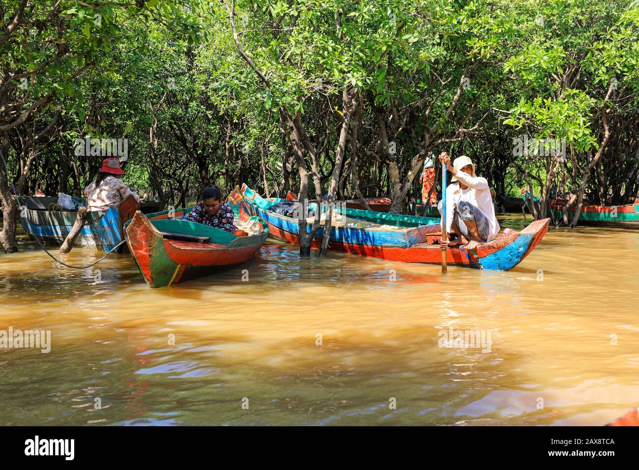 Local women rowing Tourist boats through the Mangrove swamps on Tonlé Sap River, Tonlé Sap Lake, near to Siem Reap, Cambodia, South East Asia Stock Photo