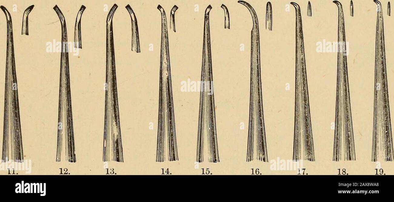 Catalogue of dental materials, furniture, instruments, etc., for sale . S. S. White. 11 Rue Caumartin, January 13th. Dear Sir,—I find the set of Soft Gold or Tupe Pluggers to be every-thing that can be desired, and are just as those used in my office. I am, dear sir, yours truly,. B. J. BING. These Pluggers are intended for use with Tape Gold, and have nothing incommon with our ordinary serrated Points, being instead Fillers, Packers, andCondensers, with points, sides, ends, and corrugations, carefully designed toaccomplish these modes of inserting the gold. These Points have immense popularit Stock Photo