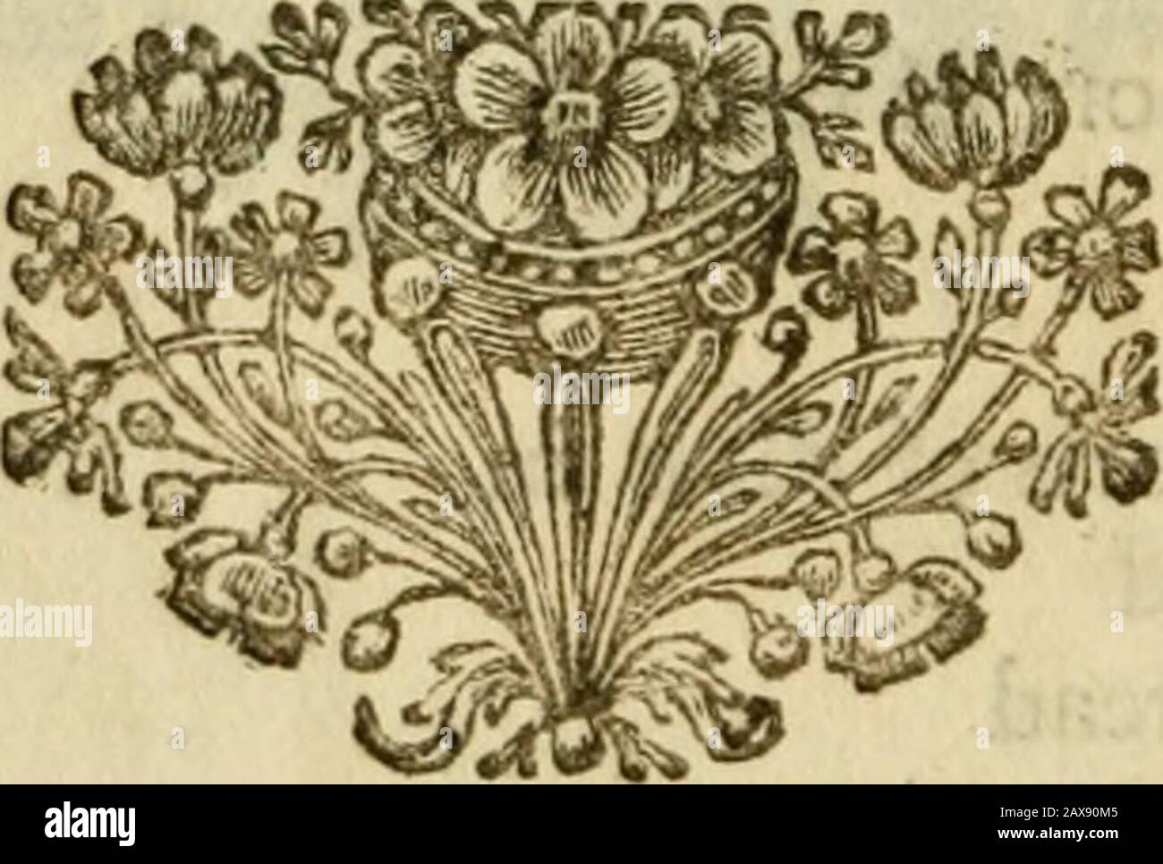 Short introduction to gardening, or, A guide to gentlemen and ladies, in furnishing their gardens, being several useful catalogues of fruits and flowers . ? 45;46 49 ^ ( S7 ) r ioWE RS for Spreading Edgings, markd SE. D Sorts of F L o w E R s inOuble blue VioletCreeping Buglofs Sea-Pink Sort of ditto in Sort of ditto inBlue Hyacinth of Peru Sort of ditto inMountain Dwarf Pink Sort of ditto in, Double Camomile. IN*^ •Alon. Fa. 7^5 Jan. 38 29 Apr. 41 11 May 42 31 June 43 9 oa. 47 TTIW I in ,IHJ.M (j£2 Fi-QWERS for Pots, markd P. N^^.Mon.Fa. R I Sorts of F L o w E R s inOyal Widow AuriculaDanae A Stock Photo