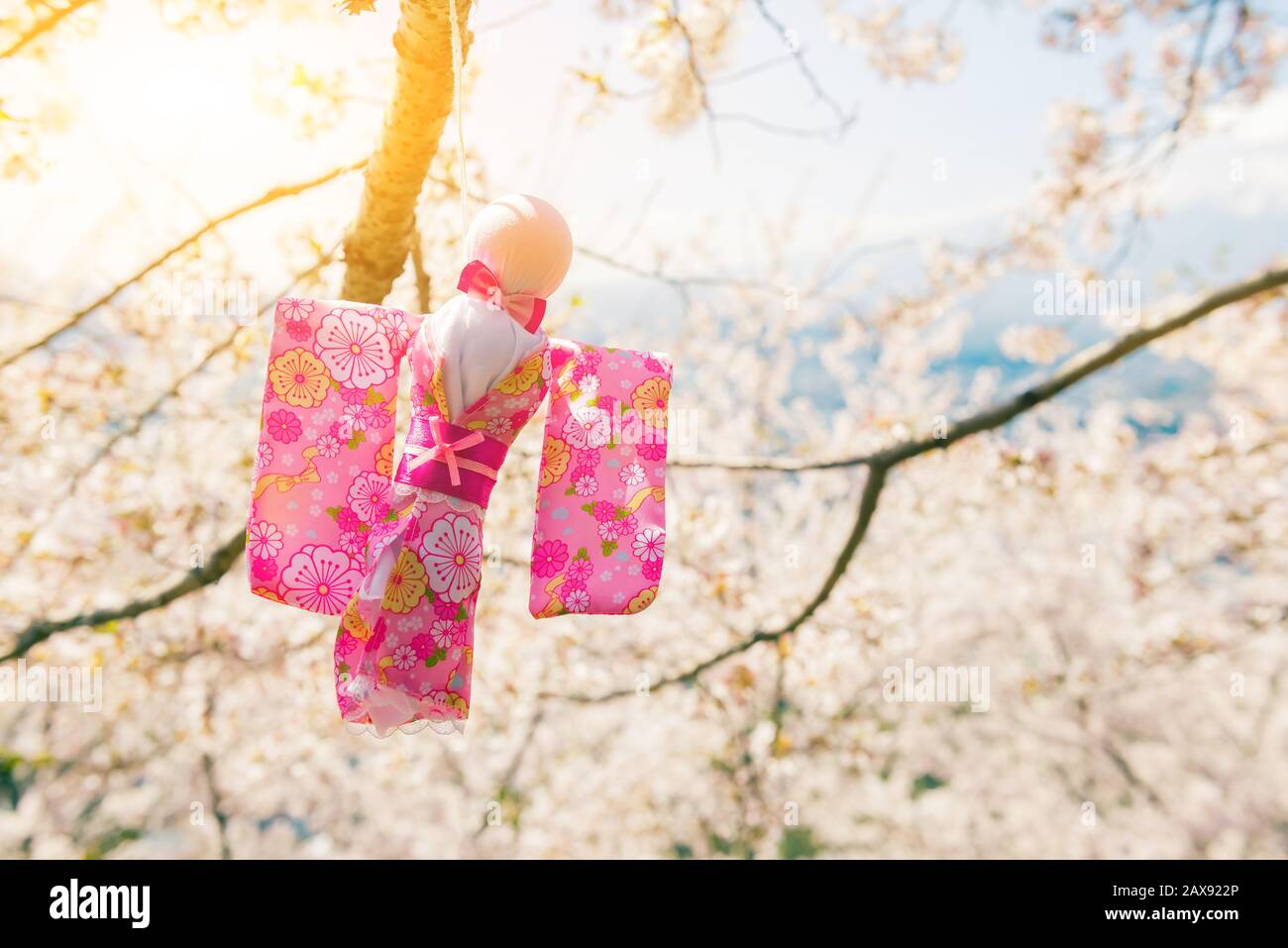 Teru Teru Bozu. Japanese Rain Doll hanging on Sakura tree to pray for