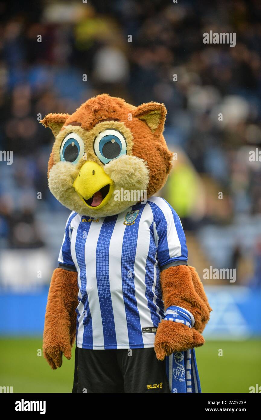 Sheffield wednesday mascot hi-res stock photography and images - Alamy