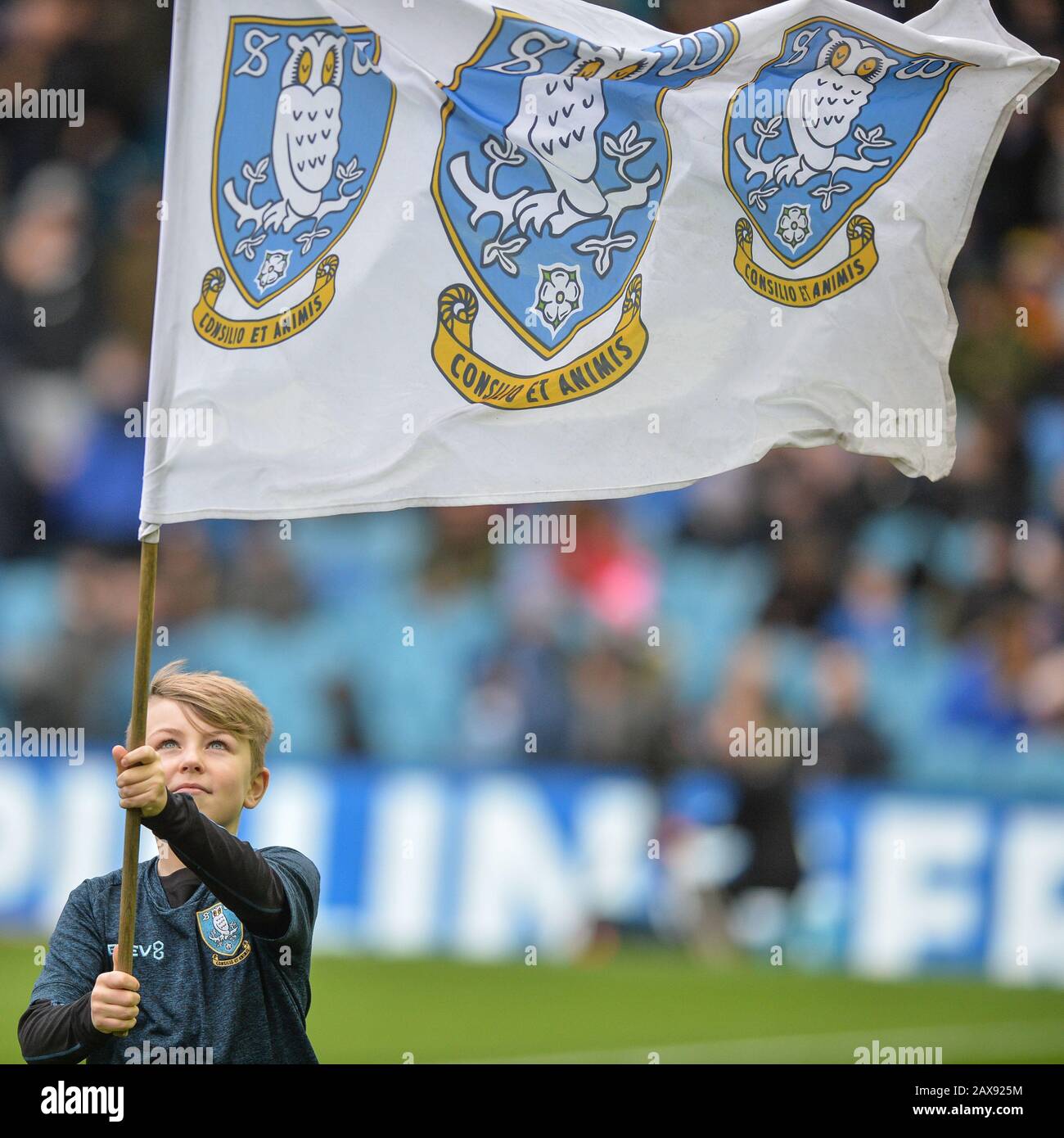100 X Sheffield Wednesday Stickers – Fan Flag, Scarf, Badge, Hillsborough Inspired