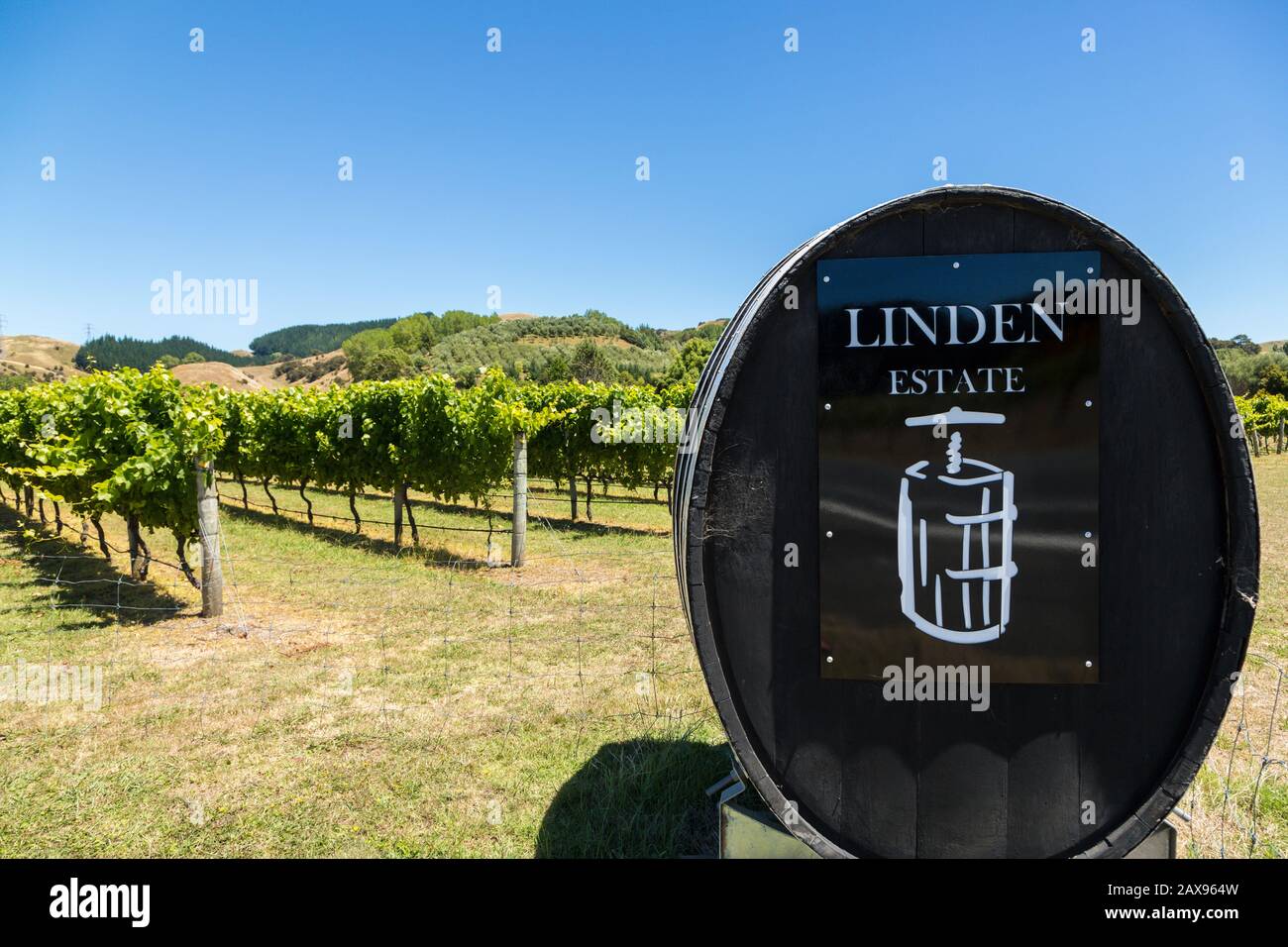 Linden vineyard and sign, Esk Valley, Hawkes bay, New Zealand Stock Photo