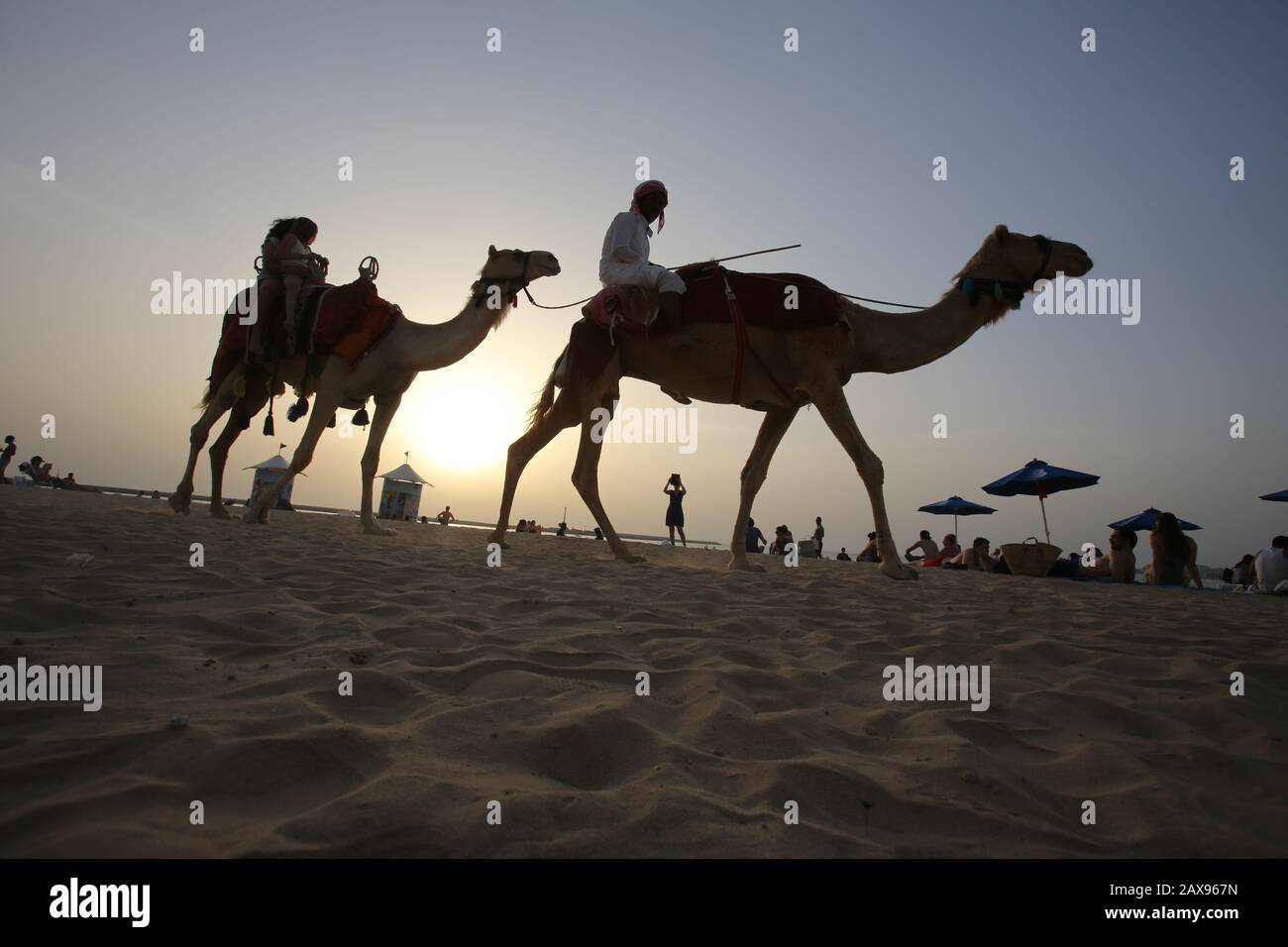 Camel Keeper High Resolution Stock Photography and Images - Alamy