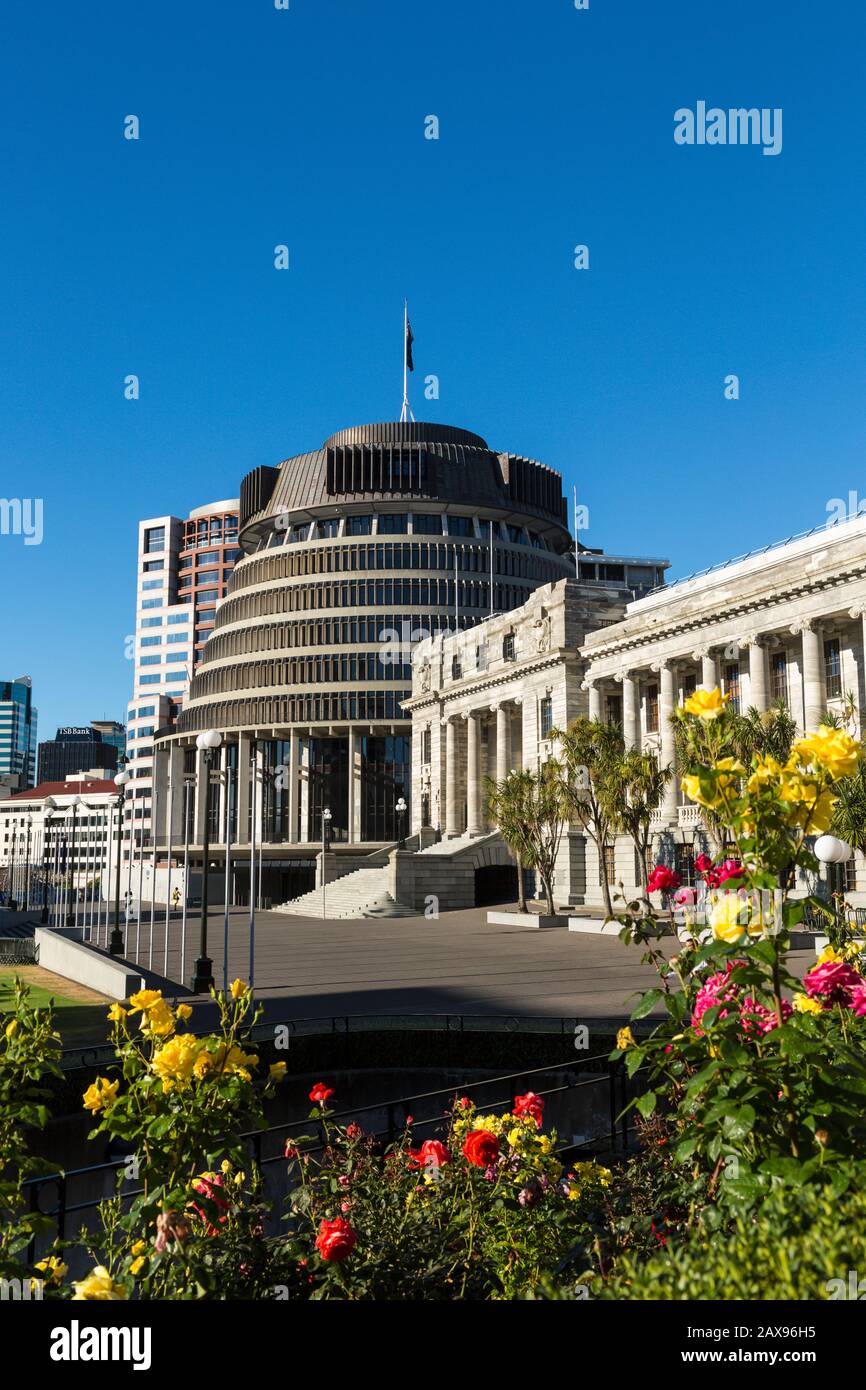 Beehive Parliament building, Wellington, New Zealand, flowers Stock Photo