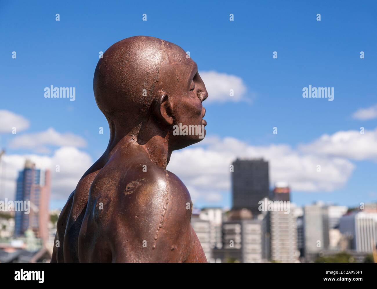 Solace of the wind statue, Wellington skyline, New Zealand Stock Photo