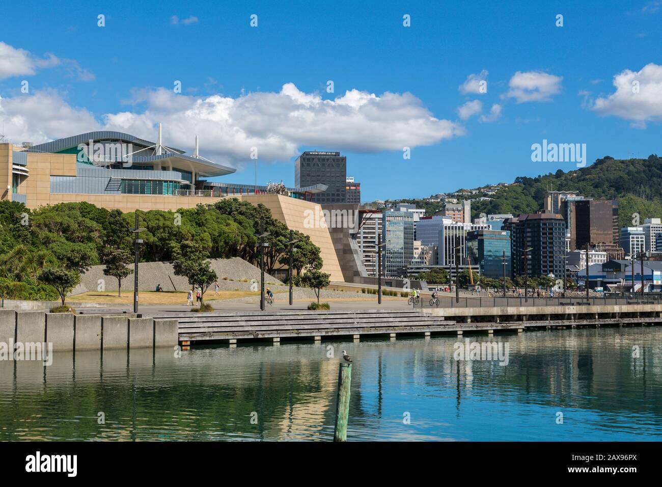 Wellington skyline and Te Papa Museum, New Zealand Stock Photo